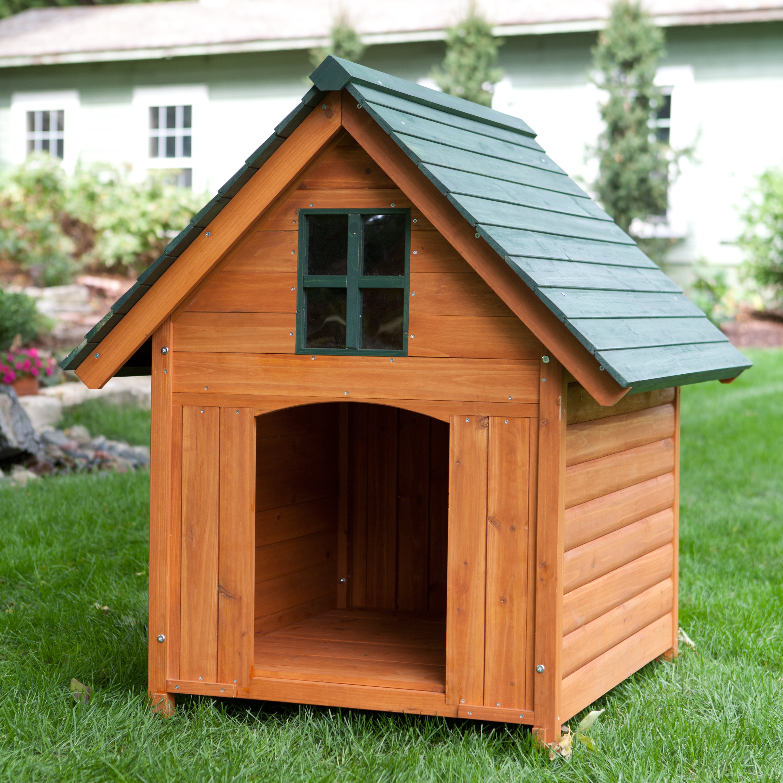 Home, Dog House