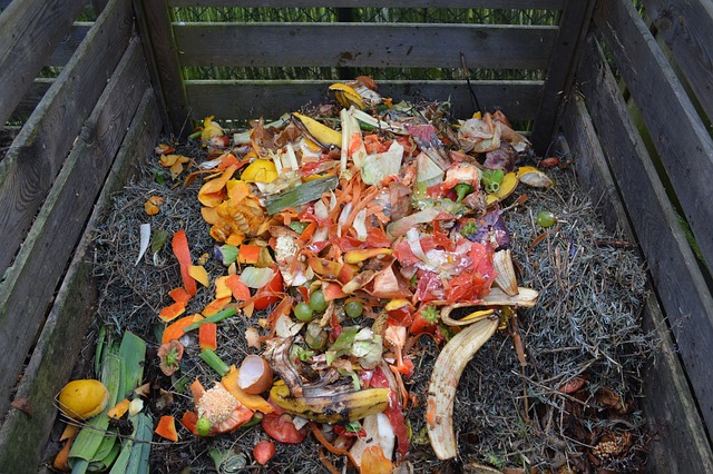 Organics, Compost