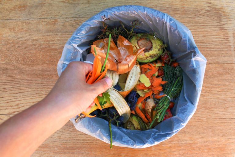 Trash, Food Waste